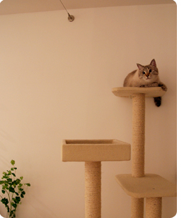 20091115-1.jpg
