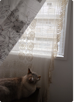 20100620_1.jpg