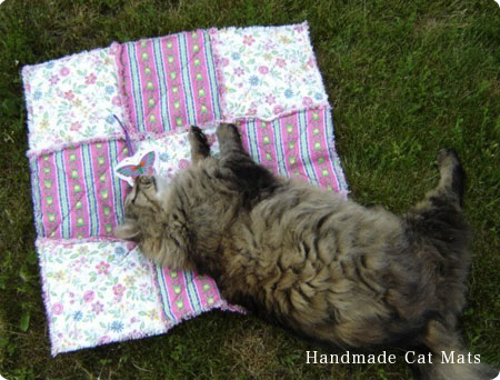 catmat01.jpg